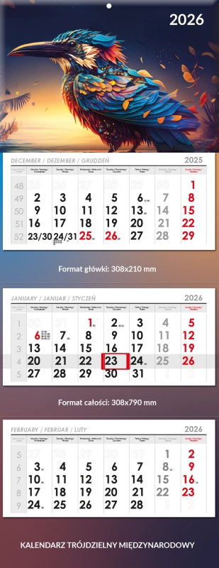 Trójdzielny Lux Wypukły Międzynarodowy